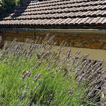 Historic Unesco Village Double Townhouse & Garden Dom wakacyjny *